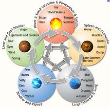 Tcm Five Element Chart