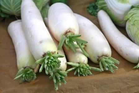 tcm nutrition daikon