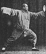 yang style tai chi