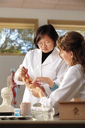 graduate program in acupuncture and chinese medicine 