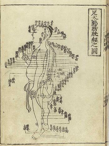 chinese medicine organs