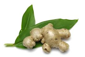 chinese herbs ginger