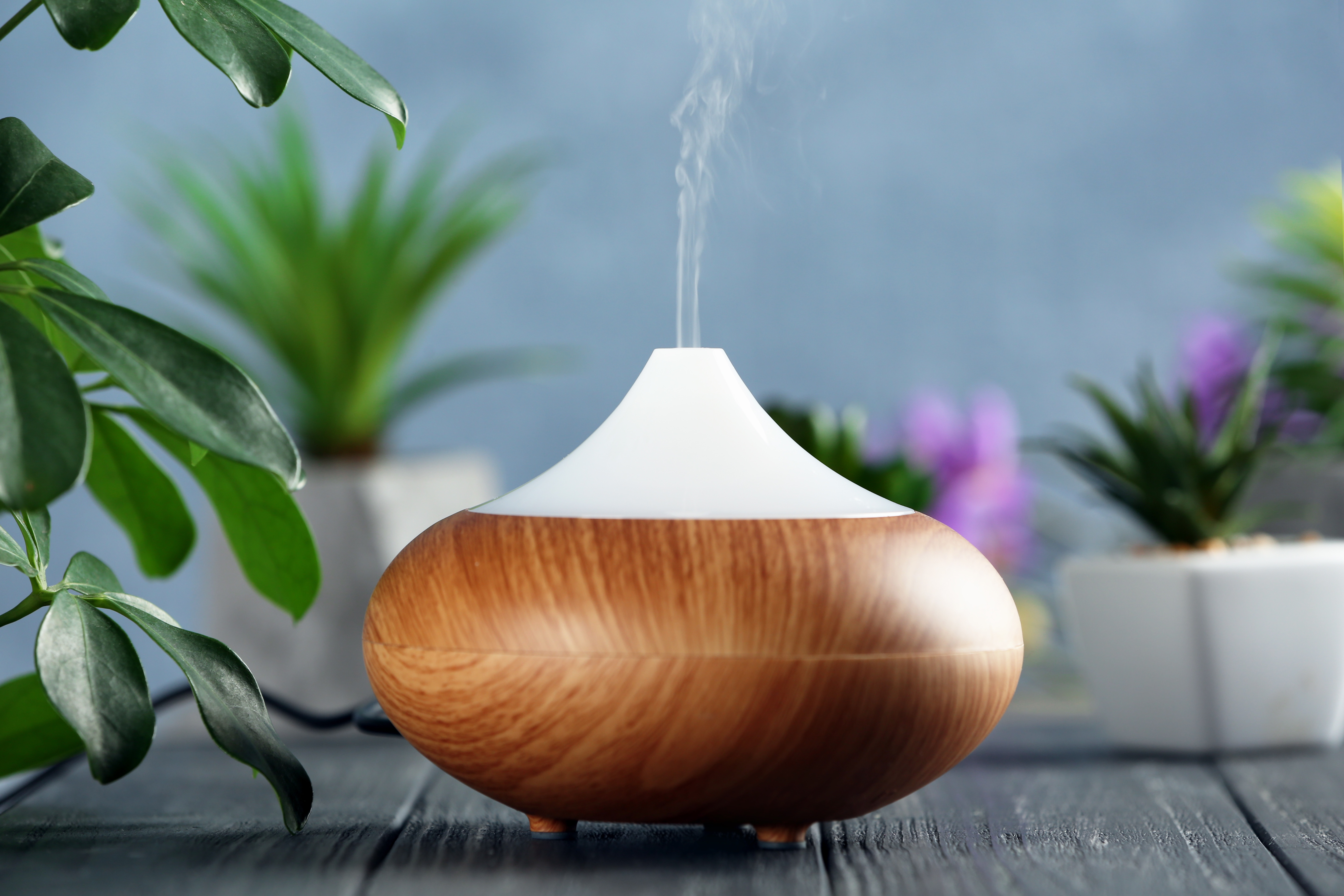 Essential Oil Diffuser AOMA Austin