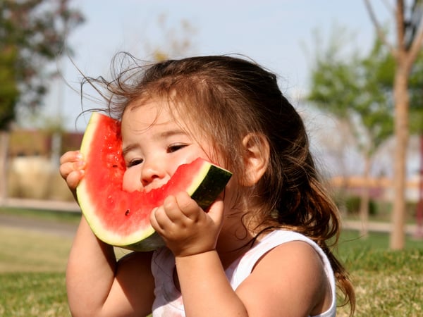 TCM watermelon health for summer