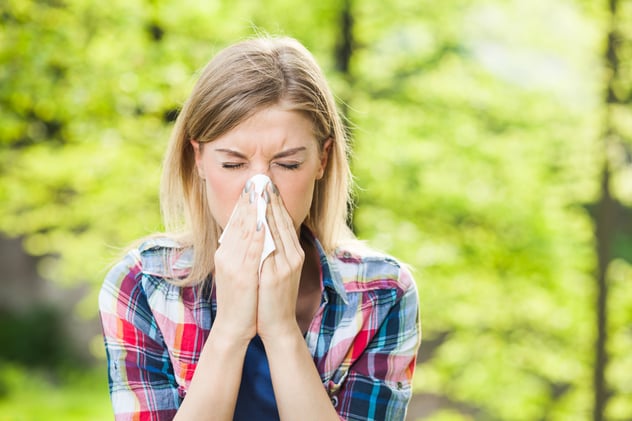 Austin Cedar Allergy treatment