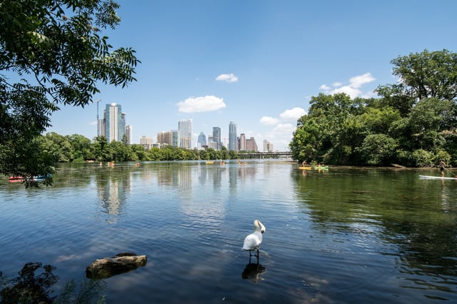 Lady Bird Lake Austin Lady Bird Lake Austin